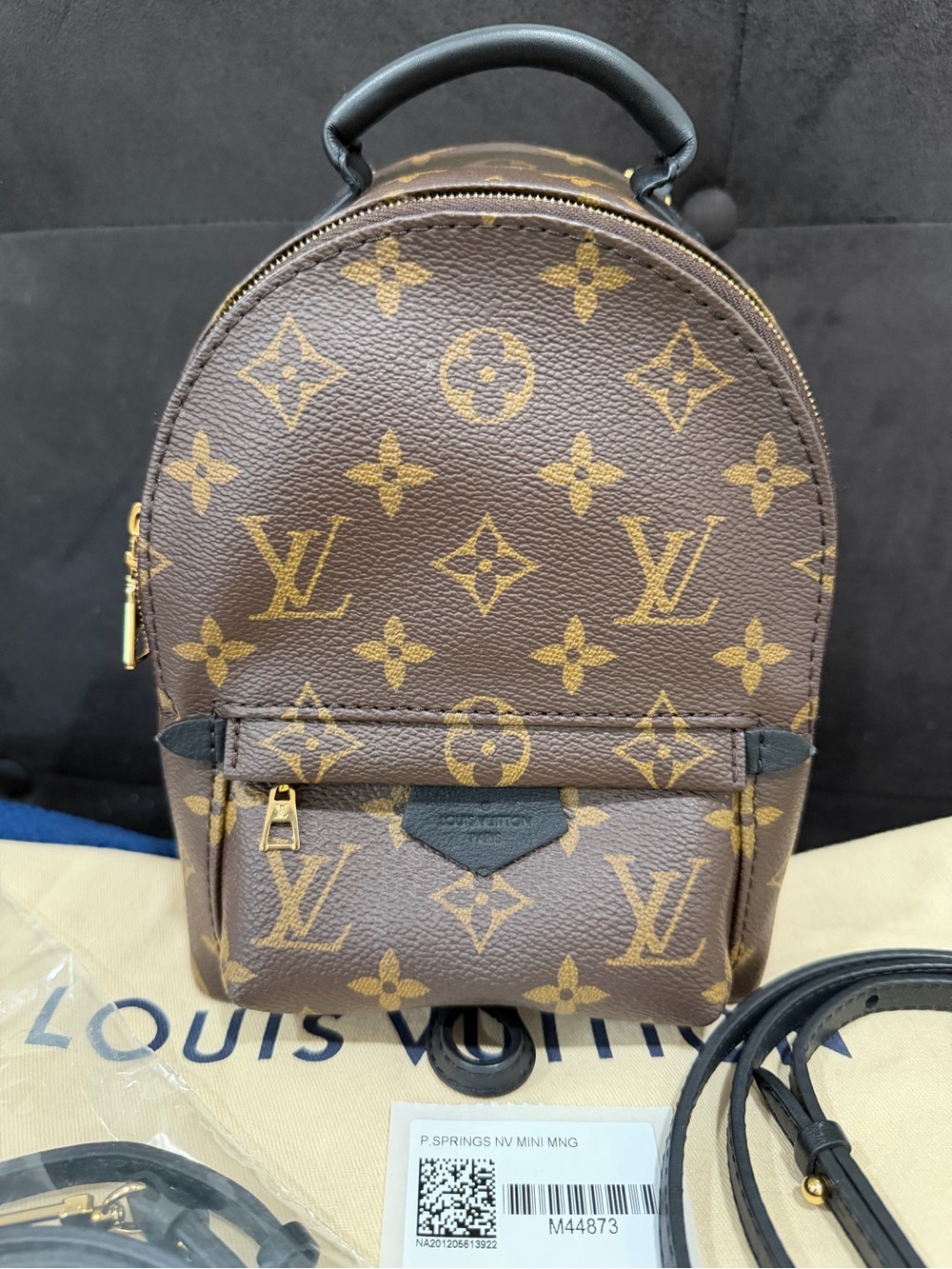 Louis Vuitton Palm Springs Mini Monogram - Picture 2 of 14